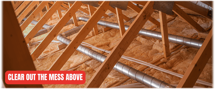 Attic Cleaning Pearland