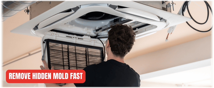 HVAC Mold Removal Pearland